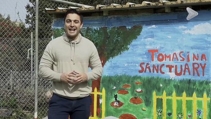 Animal Diaries - S10E06