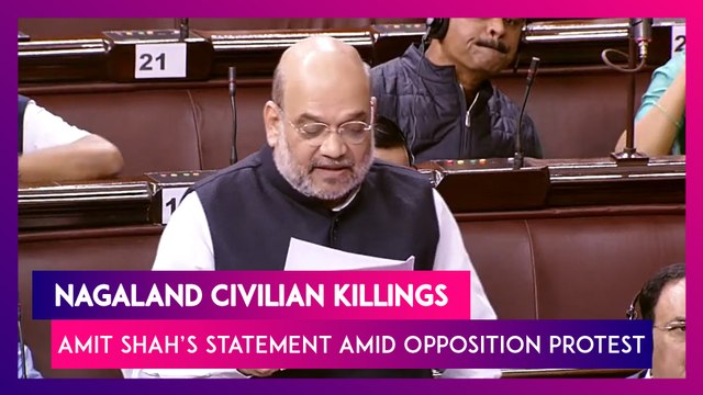 Nagaland Civilian Killings: Amit Shah, Home Minister's Statement Amid Opposition Protest