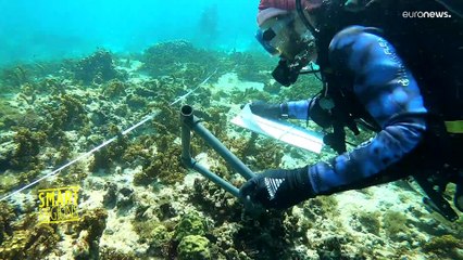 Making sure paradise is not lost: protecting Guadeloupe's natural treasures