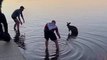 Australie : trois hommes ont sauvé un kangourou pris au piège dans un lac gelé