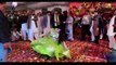 Mehak Malik Dance II Yaar Mera Titliyan Warga II Punjabi Song Dance 2021 (1)