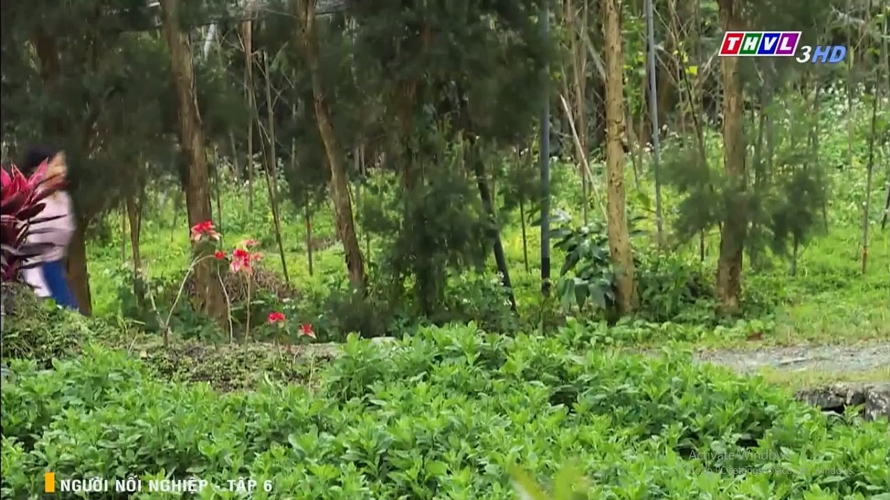PHIM ĐÀI LOAN -  NGƯỜI NỐI NGHIỆP TẬP 06 - AI RỒI CŨNG PHẢI LỚN - LOVE MOVIE
