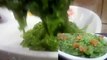 इस तरह से इस हरि चीज का हरा हलवा बनाकर खा लेंगे तो नस-नस में ताकत महसूस करेंगे I Lauki Halwa I Bottle Gourd Pudding by Safina Kitchen