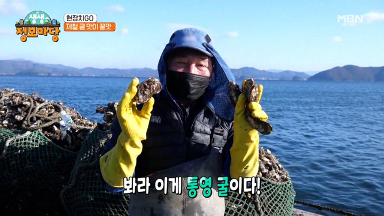 ★겨울 별미★ 제철 굴은 굴 맛이 아니고 꿀맛이라고요!?