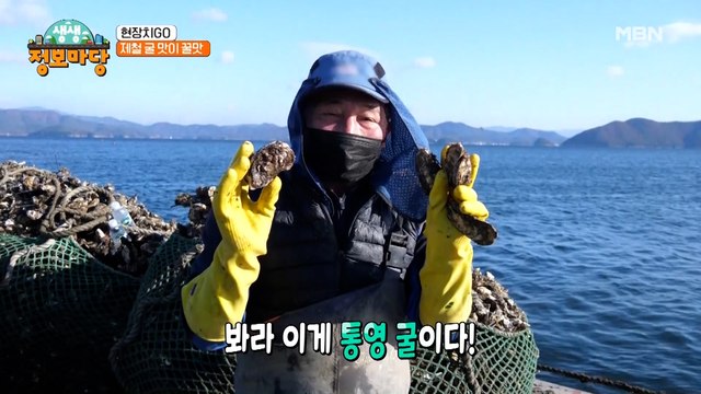 ★겨울 별미★ 제철 굴은 굴 맛이 아니고 꿀맛이라고요!?