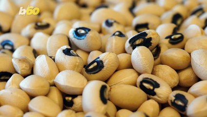 Start the Year Off With Good Luck By Eating These Foods on New Years Eve