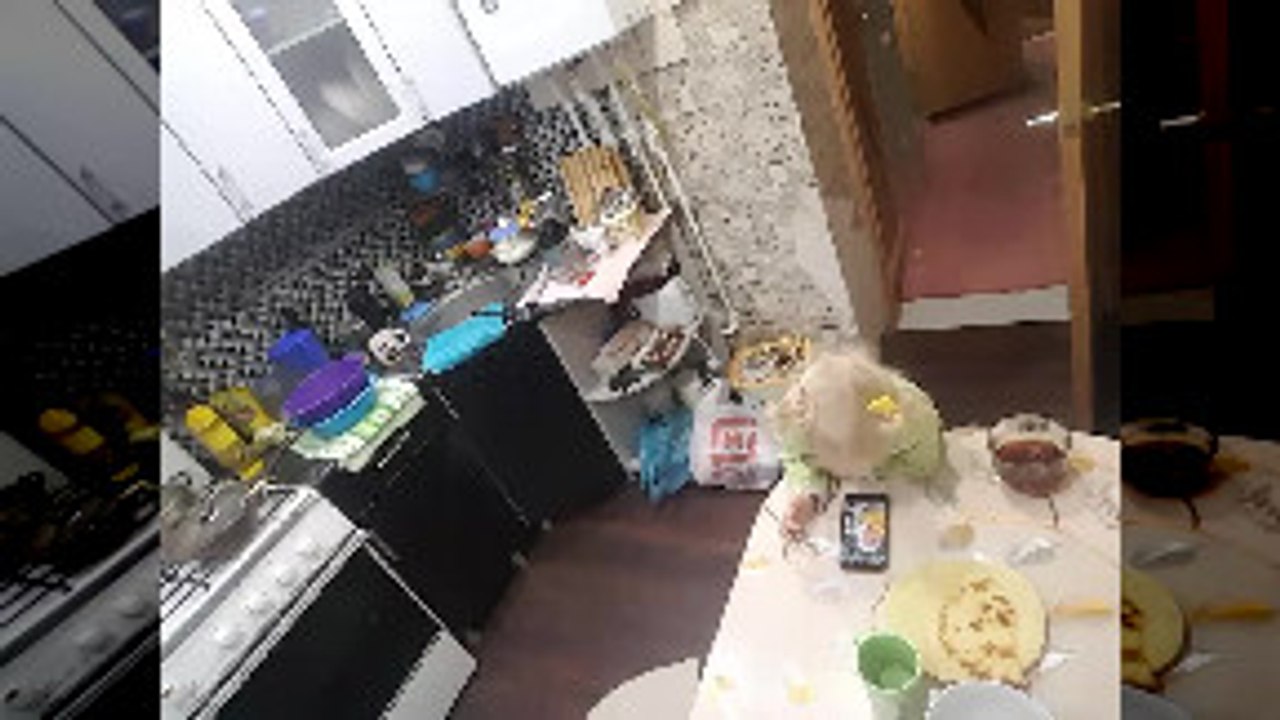 Child Watching Cartoons on Unstable Table Falls