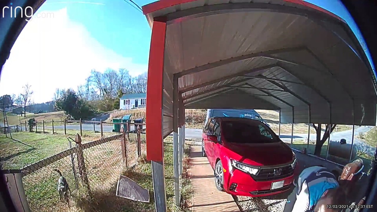 Doorbell Cam Catches Delivery Driver's Talk With Dog