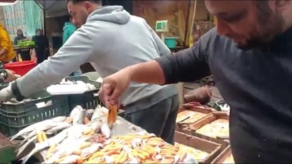 سر البطارخ البورى فى سوق الإسكندرية.. بيستنوها كل سنة فى النوة