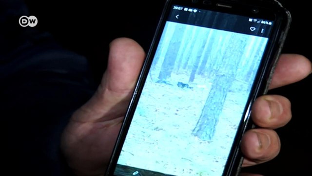 Бедственное положение мигрантов в районе белорусско-польской границы (06.12.2021)