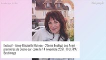 Anne-Elisabeth Blateau : Emprisonnée à l'étranger et accusée de violence en France, ses problèmes avec la justice