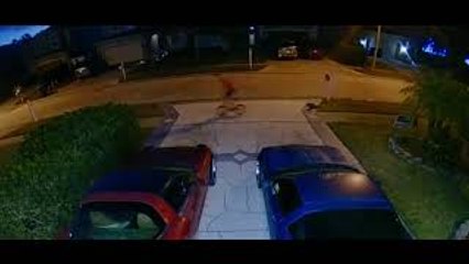 Brother Testing Toddler Bike Flies Over Handlebars