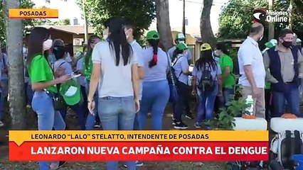 Lanzaron nueva campaña contra el Dengue