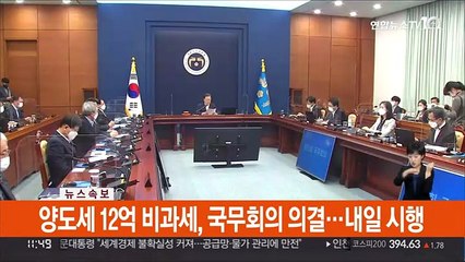 [속보] 양도세 12억 비과세, 국무회의 의결…내일 시행