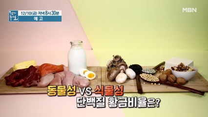 열풍인가 역풍인가! 단백질 함정