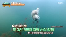 [바다 살리기 프로젝트] 쌓여만 가는 바다 쓰레기, 이대로 둘 수 없다!