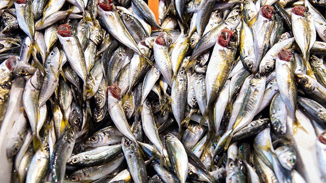 Lodos tezgahları da vurdu!