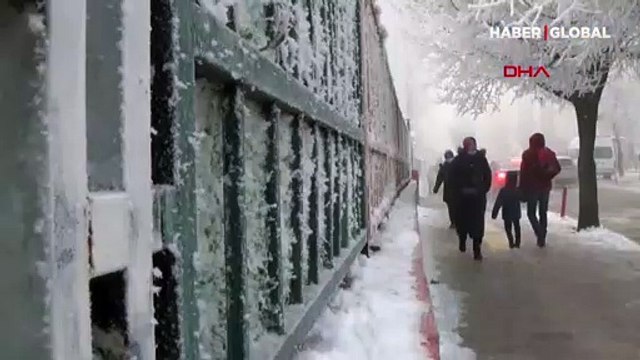 Ardahan eksi 15 dereceyle buz kesti; örümcek ağı buz tuttu