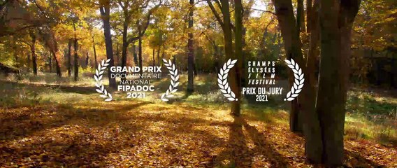 Au cœur du bois - Trailer