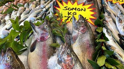 Karadeniz'in yerli somonu Norveç'e rakip