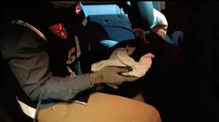 Trabzon polisi silah kaçakçılarına göz açtırmıyor