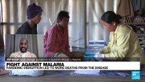 Fight against malaria: 