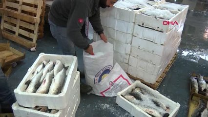 BALIKÇILIKTA TÜRKİYE'NİN YÜKÜNÜ EGE ÇEKİYOR; YILLIK ORTALAMA 55 BİN TONLUK SEVKİYAT