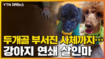 [자막뉴스] 계속 나오는 사체들...강아지 입양 남성의 충격적 만행 / YTN