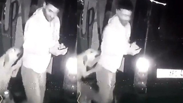 Köpeği tekmeleyen hayvanları koruma derneği üyesi, istifa etti