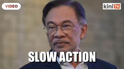 'Meeting only on Dec 9' - Anwar questions slow action over rising prices of goods
