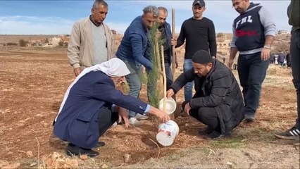 İMAM VE PAPAZ BİRLİKTE FİDAN DİKTİ