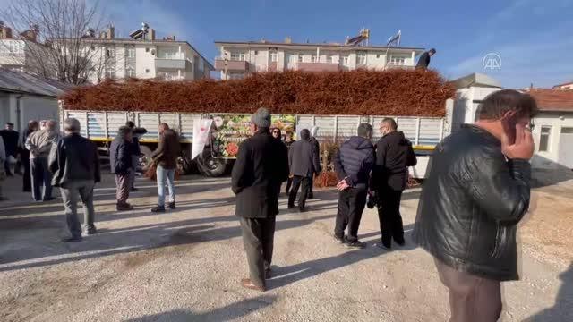 Üreticilere 68 bin 500 badem fidanı dağıtıldı