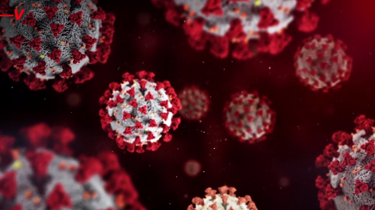 The COVID Omicron Variant is Opening Doors to Hackers Via Phishing Emails Targeting Universities and Students