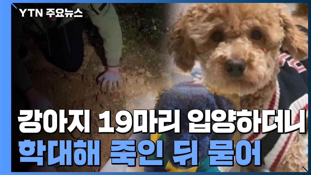 강아지 19마리 입양해 학대 살해...화단에 묻어 완전범죄 노려 / YTN