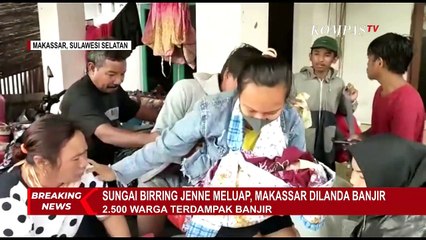 Télécharger la video: Diterjang Angin Kencang, Pohon Setinggi 10 Meter Tumbang dan Timpa Mobil Warga