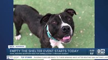 FREE pet adoptions at Phoenix-area animal shelters through Bissell Empty the Shelters program