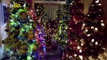 Must See! Couple Sets World Record for Setting Up and Decorating the Most Christmas Trees