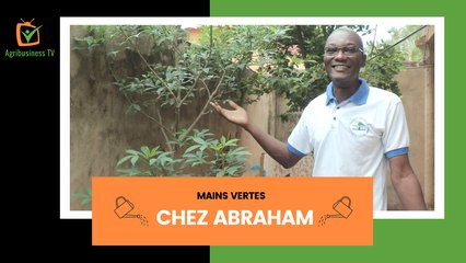 Mains vertes : Chez Abraham