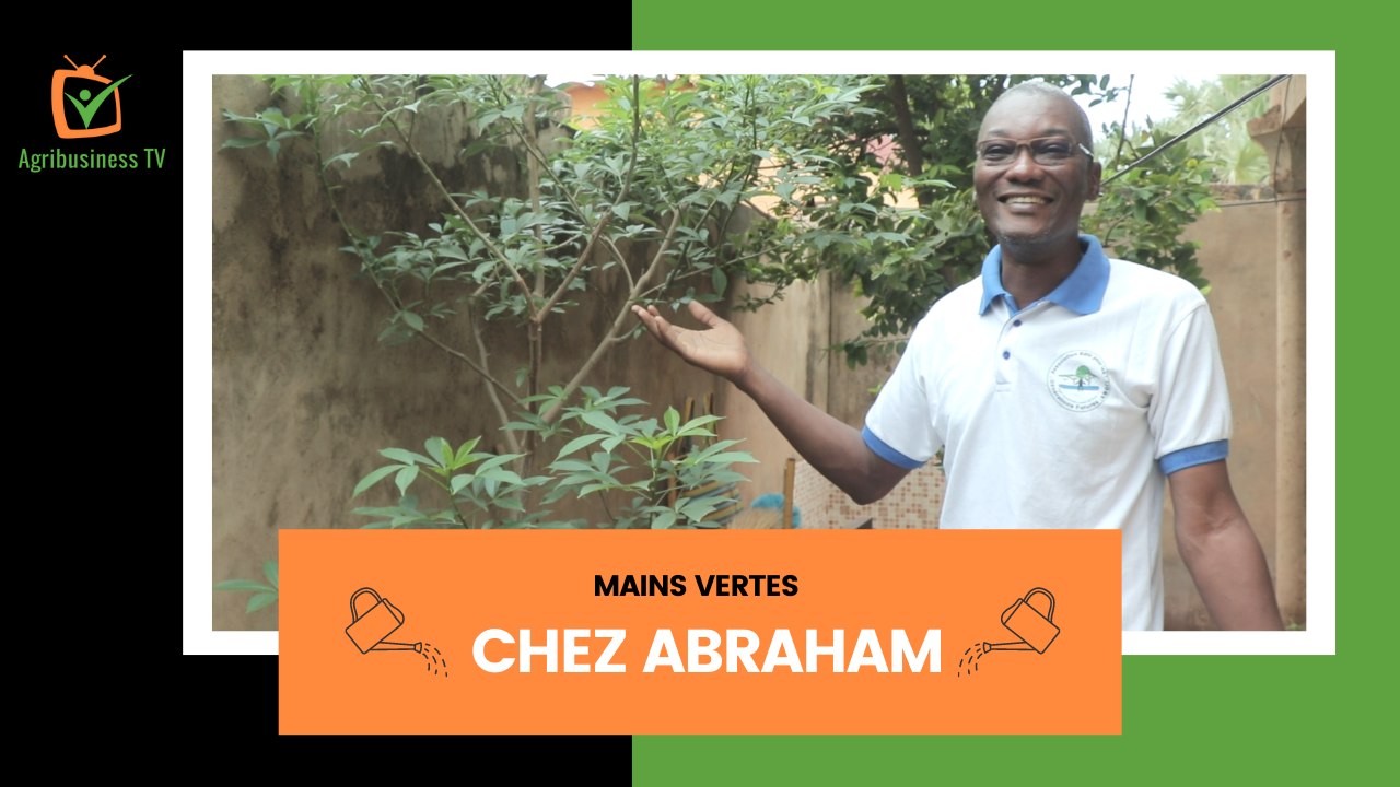 Mains vertes : Chez Abraham