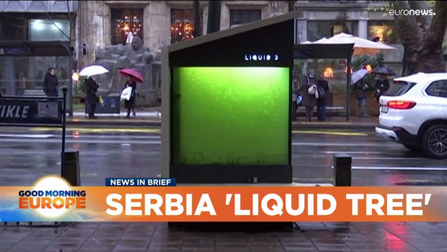 This 'liquid tree' in Belgrade is fighting back against air pollution