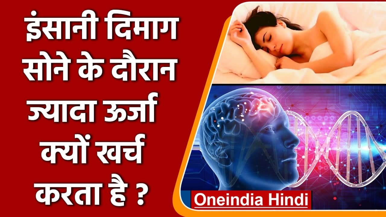 Human Brain: आराम करने के दौरान दिमाग क्यों खर्...