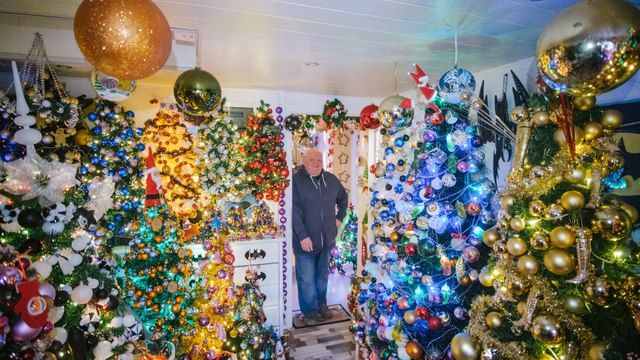 Ce couple bat le record mondial du nombre de sapins de Noël