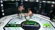 Excellent MIXED MARTIAL ARTS FIGHT ending in ko