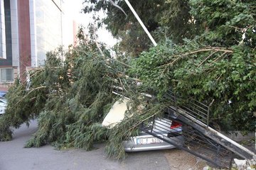 Tải video: İSKENDERUN'DA KUVVETLİ RÜZGAR; AĞAÇLAR DEVRİLDİ