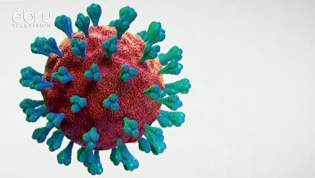 Kirusi Cha Corona Aina Ya Omicron Charipotiwa Nchini Uganda