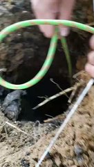 Puppy Rescued From Hole in Russia