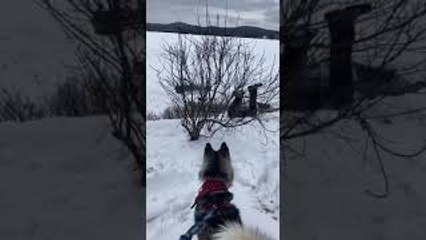 Sled Slides Over Edge