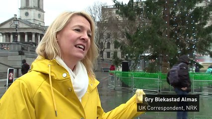 London Trafalgar Square's tree mocked for looking 'sad'