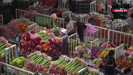 أكبر سوق للزهور في آسيا تصنع نجوما من المؤثرين عبر الإنترنت