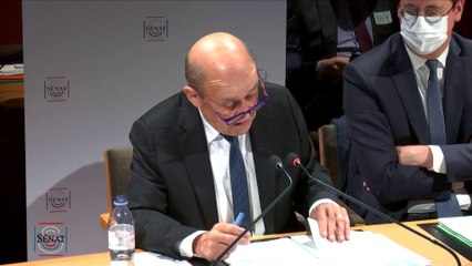 Opération Sirli en Egypte : « Une enquête interne est en cours », assure Jean-Yves Le Drian